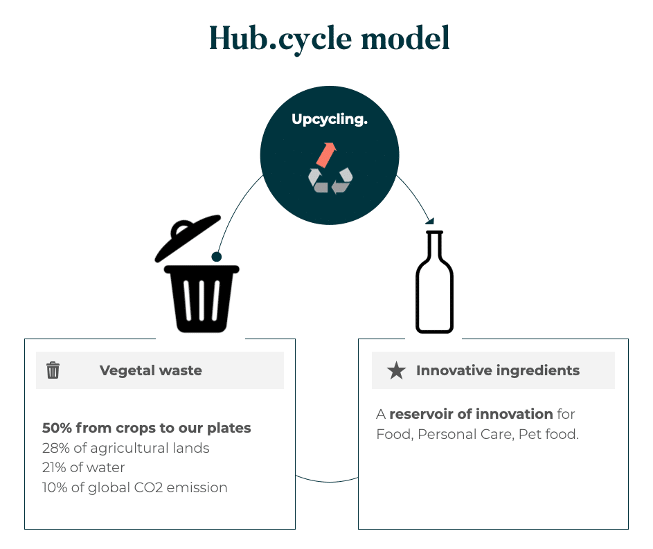 hub.cycle