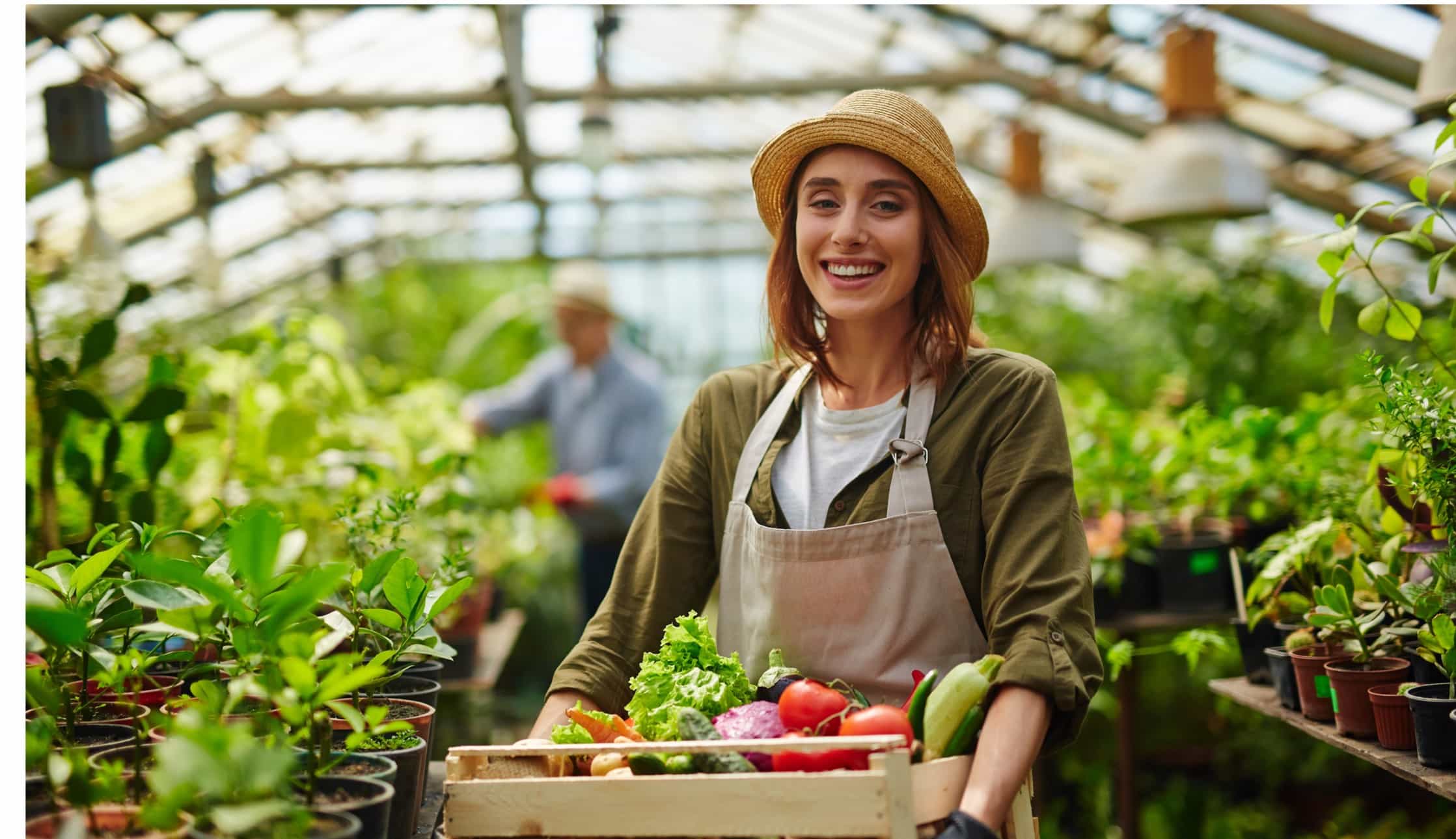 transition alimentaire